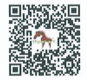 QR-Code für Abstimmlink Deutschlands größte Vereinsaktion