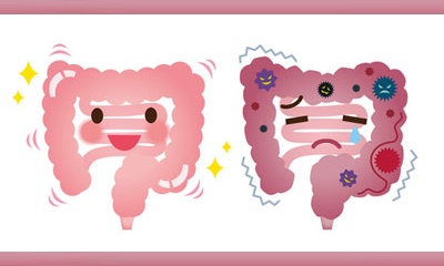 Gesundheit beginnt im Darm - Beratungstag in der Apotheke Vornewald in Schlangen