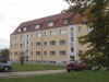 selbst