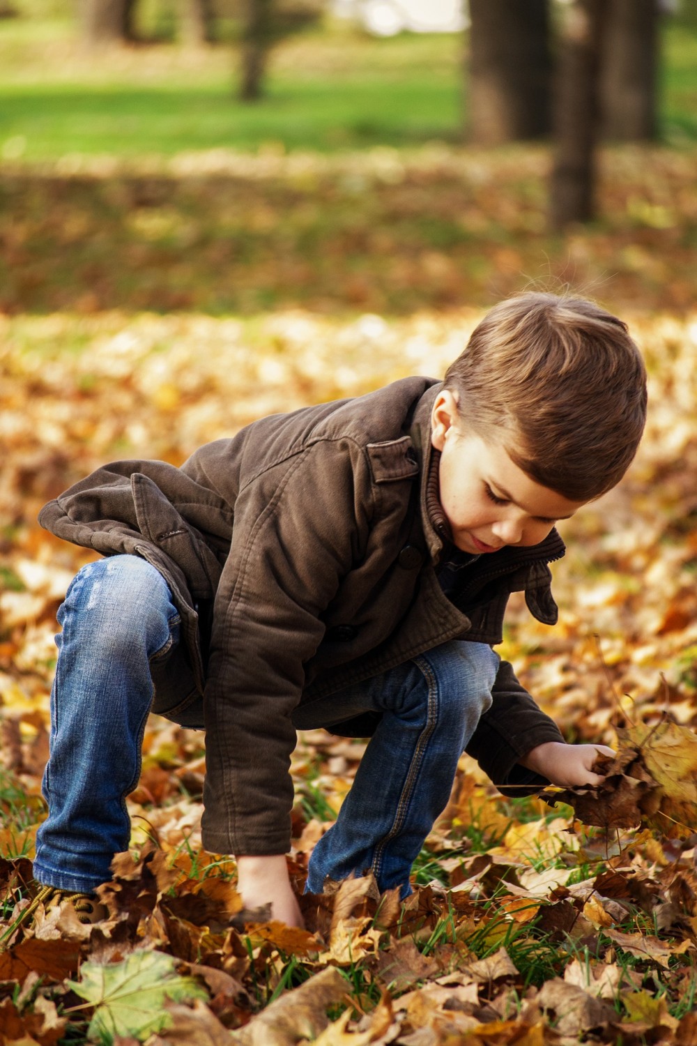 Großes Herbstfest bei Malu - Der Kinderladen -  in Rochlitz