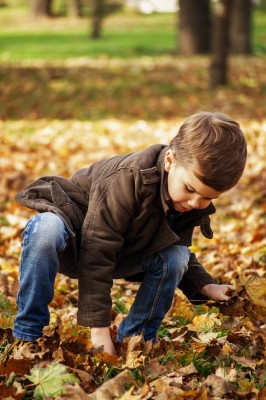 Großes Herbstfest bei Malu - Der Kinderladen -  in Rochlitz